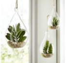 Screen Shot 2015-12-18 at 12.36.05 AM.png